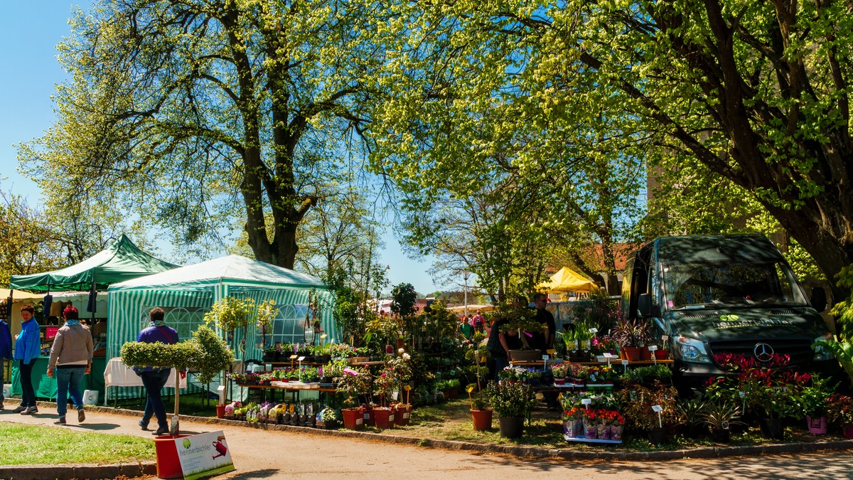 O Fotomagazin / Pregrtner Pflanzl- und Gartenkirtag 2016